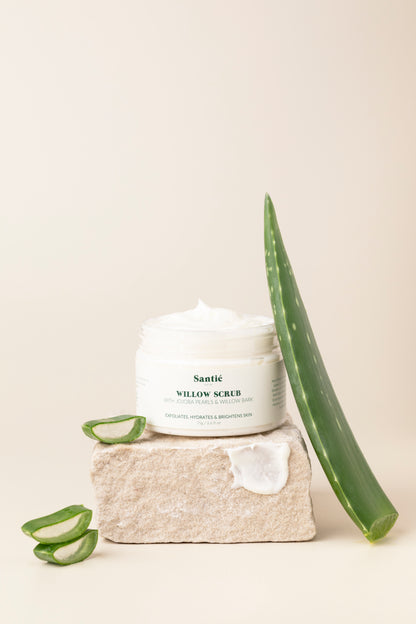 Willow Bark Facial Scrub